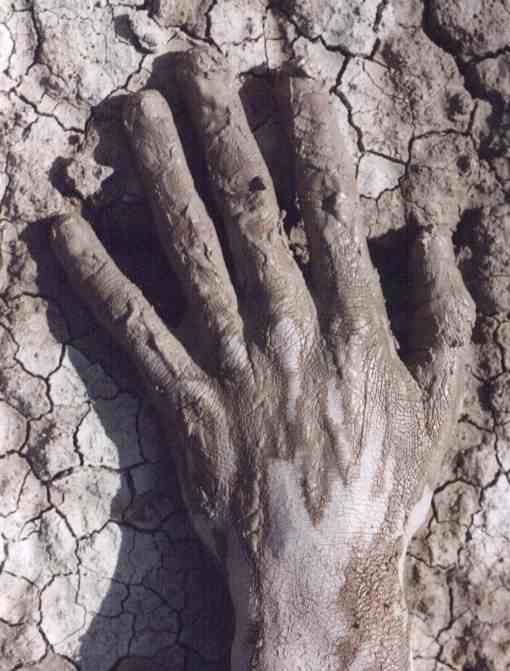 hand.jpg