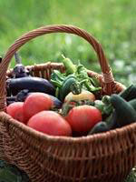 vegetable.jpg