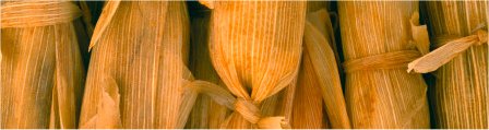 tamales.jpg