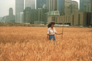 wheatfield