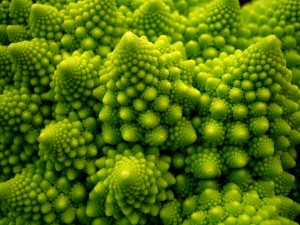 cauliflower
