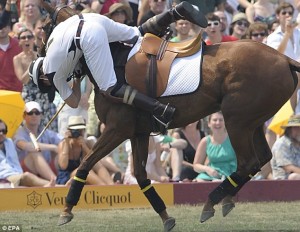 fall off horse